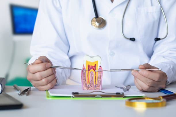 Best Emergency Root Canal Treatment in Blossom, TX